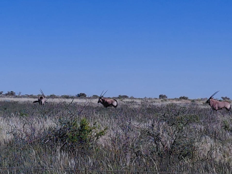 Commercial Property for Sale in Augrabies Northern Cape